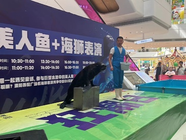 深海美人鱼+海狮表演